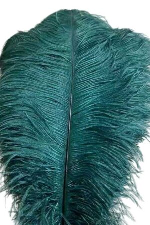 Piórka dekoracyjne butelkowa zieleń naturalne 45-50 cm 10szt