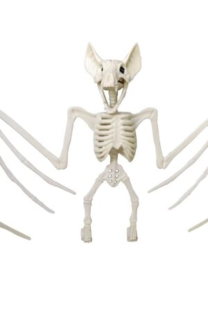 Dekoracja Halloween nietoperz szkielet 30cm