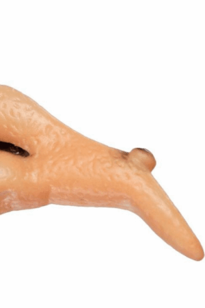 Nos Wiedźmy Czarownicy nochal