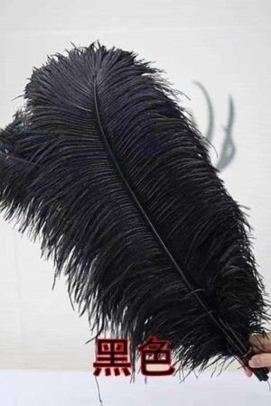 Piórka dekoracyjne czarne naturalne 45-50 cm 10szt
