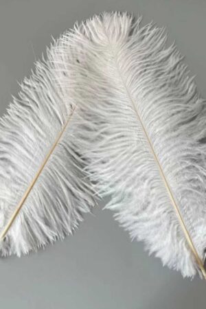 Piórka dekoracyjne białe naturalne 50cm 10szt