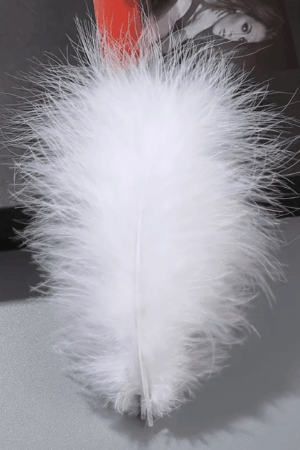 Piórka dekoracyjne białe naturalne 14cm 100szt