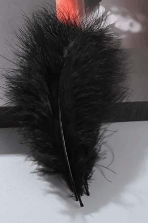Piórka dekoracyjne czarne naturalne 14cm 100szt